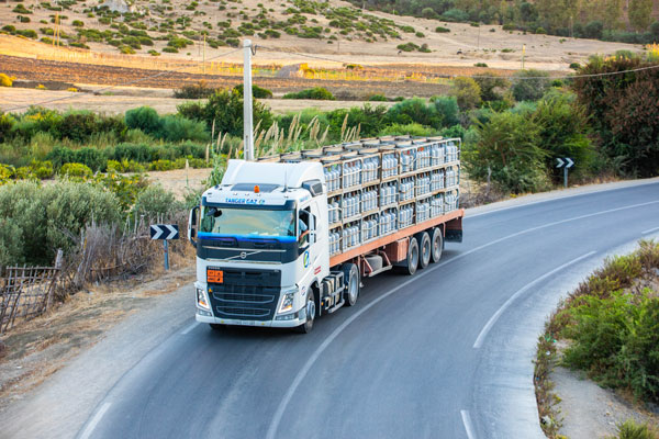 Distribution_tangergaz